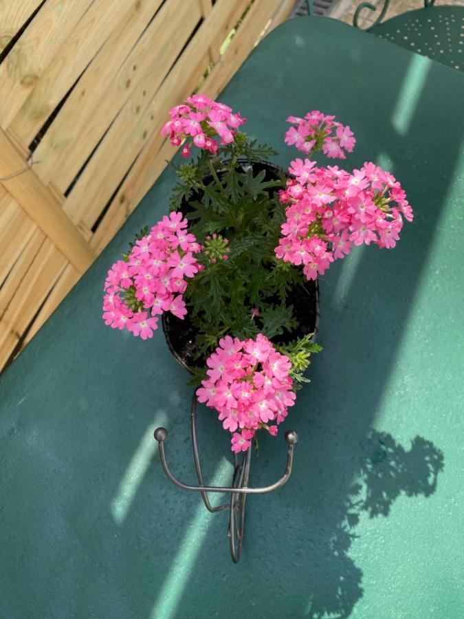 Le Gite De Charline Villa Selles-sur-Cher Esterno foto